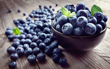 blueberries-500x313.jpg
